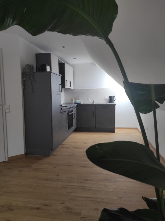 Ferienwohnung Im Distelweg Scheid  Екстериор снимка