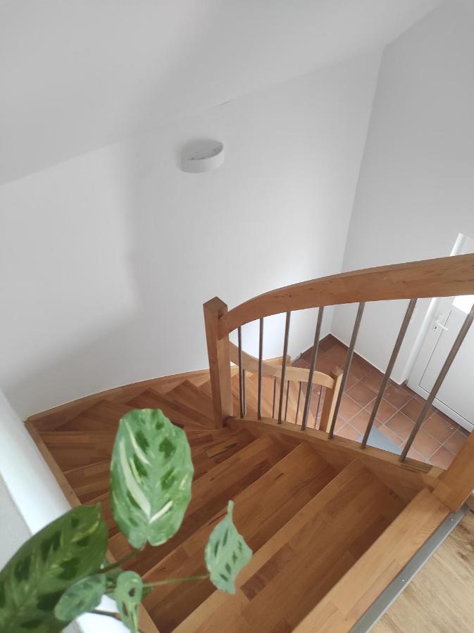 Ferienwohnung Im Distelweg Scheid  Екстериор снимка